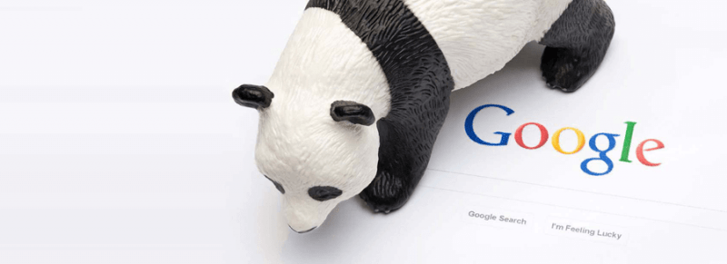 Google-Panda-800x291.png
